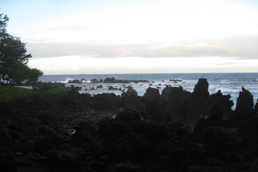 ../image/laupahoehoe point 8.jpg